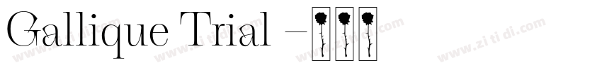 Gallique Trial 字体转换